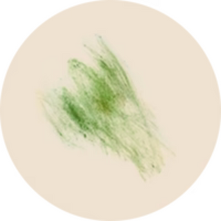 Grass