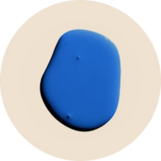 Paint