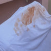 Tomato stain on a white shirt washing out with GreenFlow